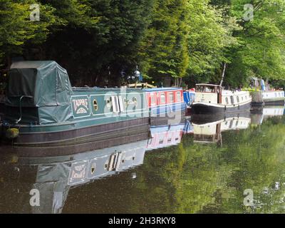 Houseboats moored along the Rochdale canal outside Hebden Bridge surrounded by trees Stock Photo