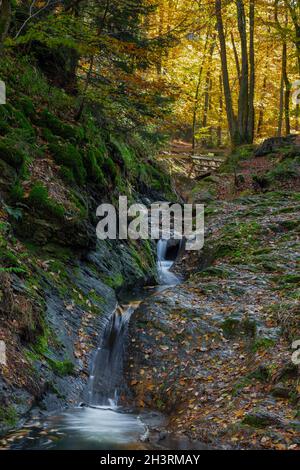 Autumn sunrise in the valley of Ninglinspo, which is classed as an outstanding heritage area of Wallonia. The stream forms rapids around various pools Stock Photo