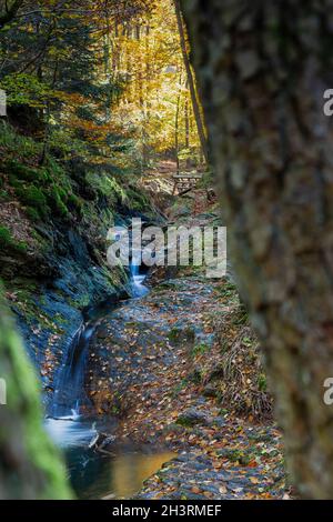 Autumn sunrise in the valley of Ninglinspo, which is classed as an outstanding heritage area of Wallonia. The stream forms rapids around various pools Stock Photo