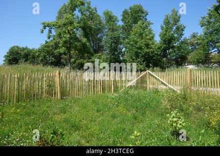 Staketenzaun, wooden fence Stock Photo