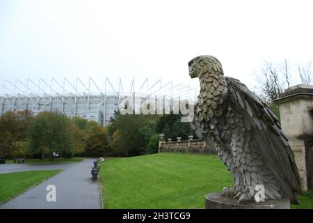 NEWCASTLE UPON TYNE, UK. OCT 30TH General view during the Premier League match between Newcastle United and Chelsea at St. James's Park, Newcastle on Saturday 30th October 2021. (Credit: Will Matthews | MI News) Credit: MI News & Sport /Alamy Live News Stock Photo