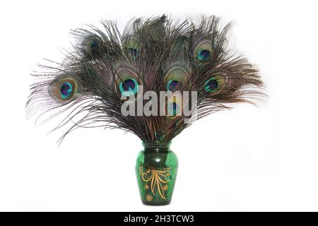 Vase of Peacock Feathers on Light Background Vintage Green Vase Stock Photo