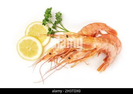 Overhead photo of raw shrimps on white, with parsley and lemon slices, with copy space Stock Photo