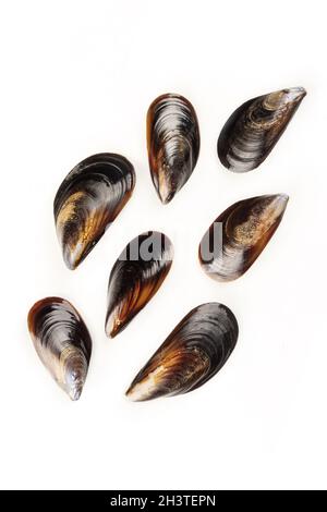 Raw mussels, shot from the top on a white background with a place for text Stock Photo
