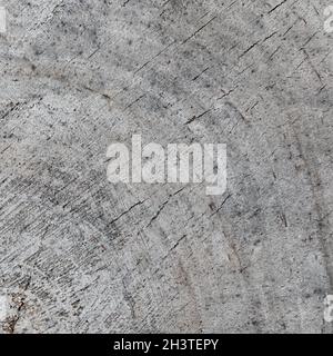 Background from a cross section of a tree trunk. Abstract texture from the rings of an old weathered stump Stock Photo