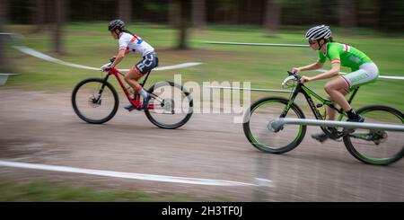 Mountain bike racers in national points series race, Cannock Chase, Staffordshire, England, UK, GB, Europe. Stock Photo