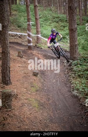 Mountain bike racers in national points series race, Cannock Chase, Staffordshire, England, UK, GB, Europe. Stock Photo