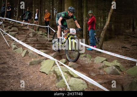 Mountain bike racers in national points series race, Cannock Chase, Staffordshire, England, UK, GB, Europe. Stock Photo