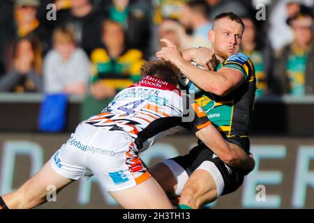 Northampton, UK. 30th Oct, 2021. 30th October 2021; Cinch Stadium at Franklin Gardens, Northampton, England; Gallagher Premiership Rugby, Northampton Saints versus Leicester Tigers; Harry Potter of Leicester Tigers tackles Rory Hutchinson of Northampton Saints Credit: Action Plus Sports Images/Alamy Live News Stock Photo