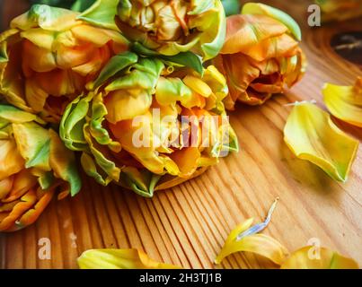 Beautiful orange tulips on a wooden table. Perfect for background greeting card Stock Photo