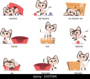 Learning english prepositions. Preschool grammar cute kitty playing with box prepositions on above under near in and on vector set Stock Vector