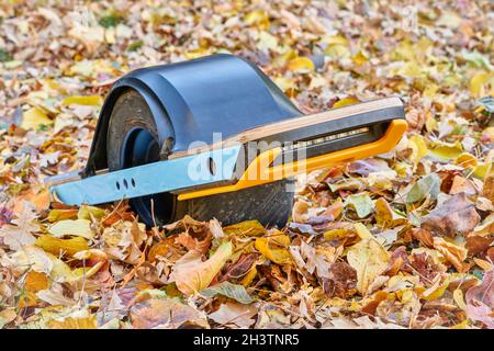 one-wheeled electric skateboard in a backyard covered by colorful dry leaves Stock Photo