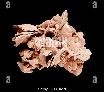 Desert rose crystal isolated on black background Stock Photo