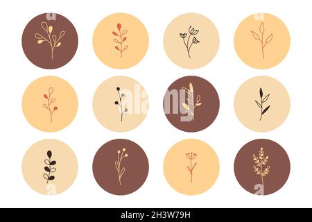 Plants and flowers with leaves in a minimalistic simple style. Handmade floral logo. Botanical one line icons set. Set of round highlighter icons for Stock Vector
