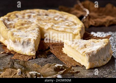 Banon cheese unwrapped from grape leaves Stock Photo