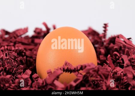 Easter egg in the nest. This nest was made of colored shreds of paper. Stock Photo