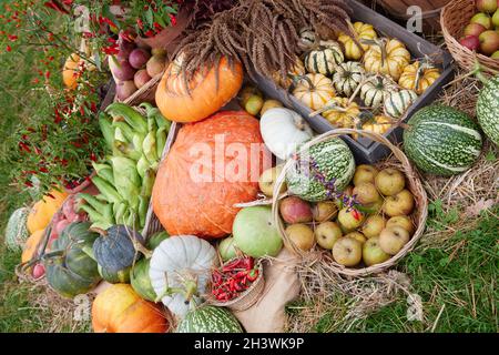 Fruits and vegetables on display in autumn. Stock Photo
