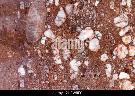 Marble texture background. marble stone texture for digital wall tiles Stock Photo