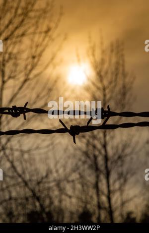 Silhouette of Barbed wire with beautiful sunset background Stock Photo ...