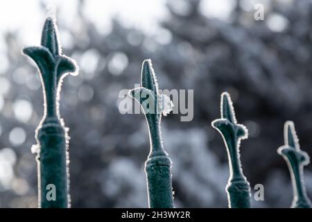 Classic design iron bars of the garden fence frozen in frost. Selective focus on an iron bar. Other iron bars are out of focus. Stock Photo