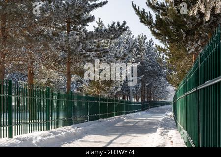 Snowy path in wooded area surrounded by iron bar garden fence. Stock Photo