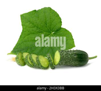 Fresh green cucumber sliced and green leaf on white background Stock Photo