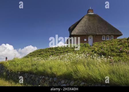 Thatched roof house, Frisian house, Hoernum, Sylt, North Sea, Schleswig-Holstein, Germany, Europe Stock Photo