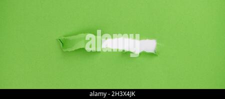 green paper which is torn in the middle, copy space for any text, web banner size Stock Photo