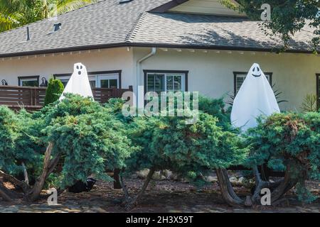 Two halloween ghosts made from white bedsheets stand on the front yard of a house in a residential neighborhood. Stock Photo