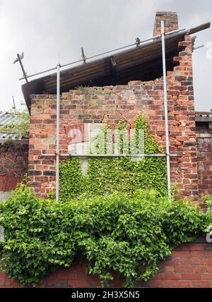 An abandoned derelict old house with crumbling brick walls propped up with scaffolding and overgrown with ivy Stock Photo