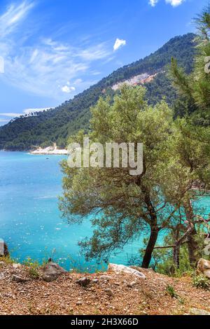 Marble beach bay, Thassos Islands, Greece Stock Photo