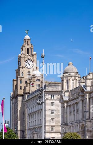 LIVERPOOL, UK - JULY 14 : The Royal Liver building with a clock tower in Liverpool, England on July 14, 2021. Stock Photo