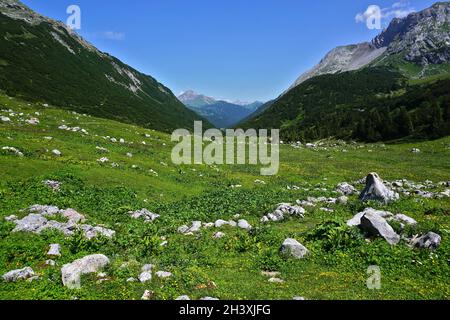 Lechquellengebirge near Formarinjoch, view to the Warther Horn, Vorarlberg, Austria Stock Photo