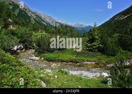 Lechquellengebirge near Formarin-Creek, view to the Warther Horn, Vorarlberg, Austria Stock Photo