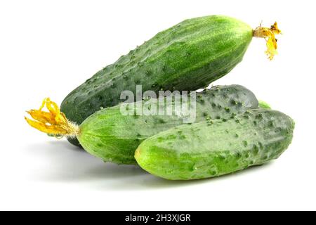 Fresh prickly cucumbers isolated on white background. Stock Photo