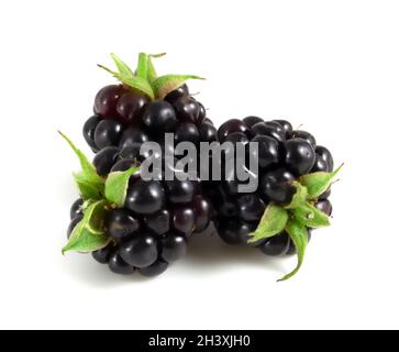 Fresh blackberries isolated on white background. Stock Photo