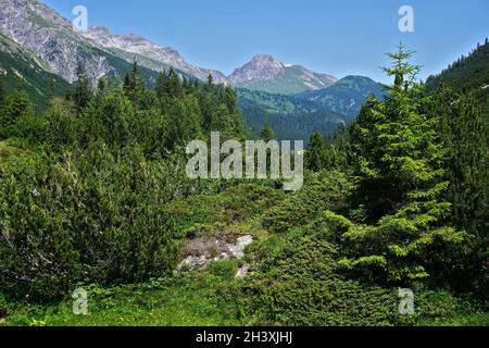 Lechquellengebirge near Formarinjoch, view to the Warther Horn, Vorarlberg, Austria Stock Photo