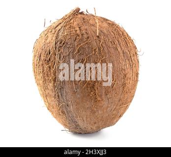 Tropical coconut fruit isolated on white background close up. Stock Photo