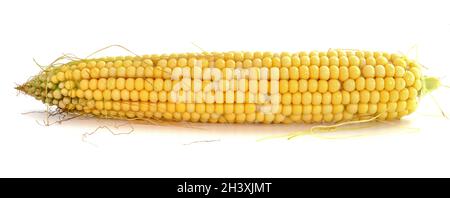 Cob of young corn isolated on white background. Stock Photo