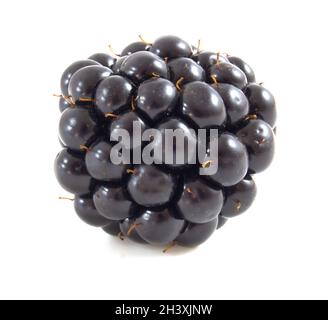 Blackberry isolated on white background Stock Photo