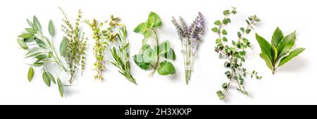 Fresh aromatic herbs, overhead flat lay panorama on a white background Stock Photo