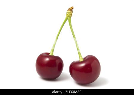 Two isolated red cherries on a white background. Stock Photo