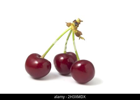Three cherries isolated on white background. Fresh fruits full focus. Stock Photo