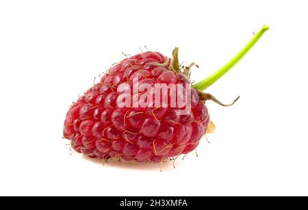Raspberry with leaves isolated on white background. Stock Photo