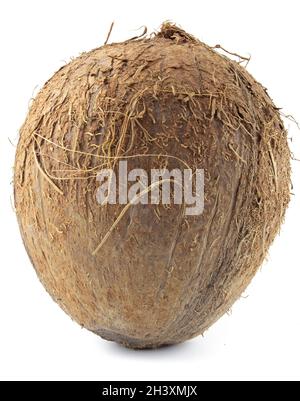 Whole coconut isolated on white background. Stock Photo