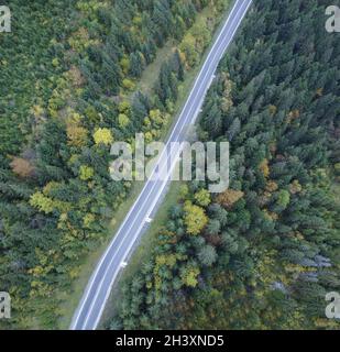 Straight road through the forest top view. Stock Photo