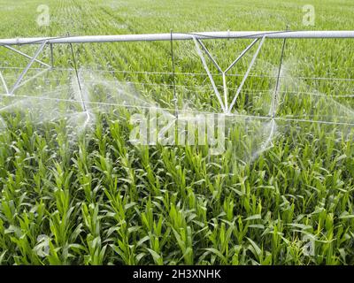 automatic farm irrigation system, automatic farm irrigation system