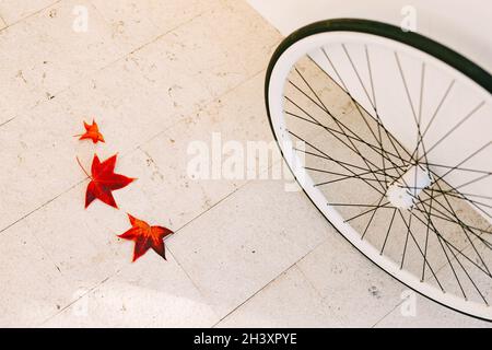 Three fallen red maple leaves on the marble floor and a white bicycle wheel. Stock Photo
