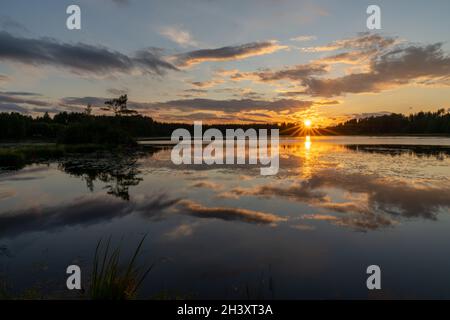 Colorful sunset reflected in a calm lake landscape with green forest and reeds Stock Photo