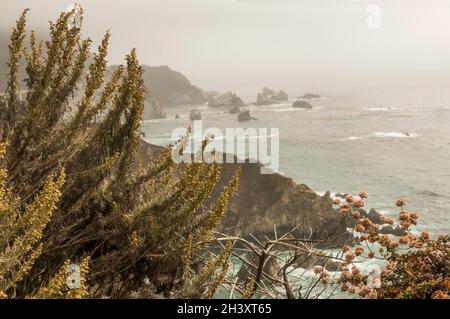 A misty day on Big Sur area of the California coast, USA Stock Photo